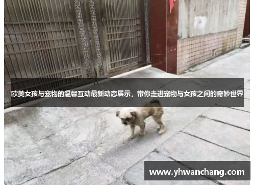 欧美女孩与宠物的温馨互动最新动态展示，带你走进宠物与女孩之间的奇妙世界