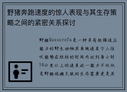 野猪奔跑速度的惊人表现与其生存策略之间的紧密关系探讨